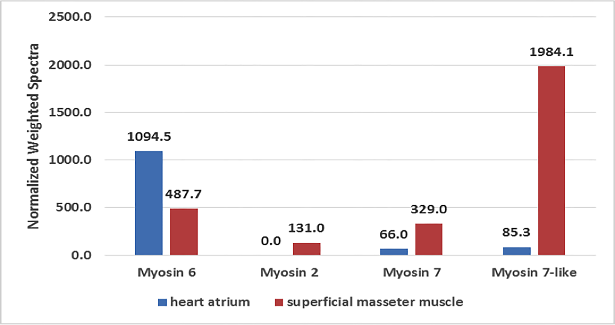 The top identified protein in sooty mangabey heart atrium and superficial masseter was Myosin
6 (MHC1-α), confirming the expression of MHC α-cardiac.