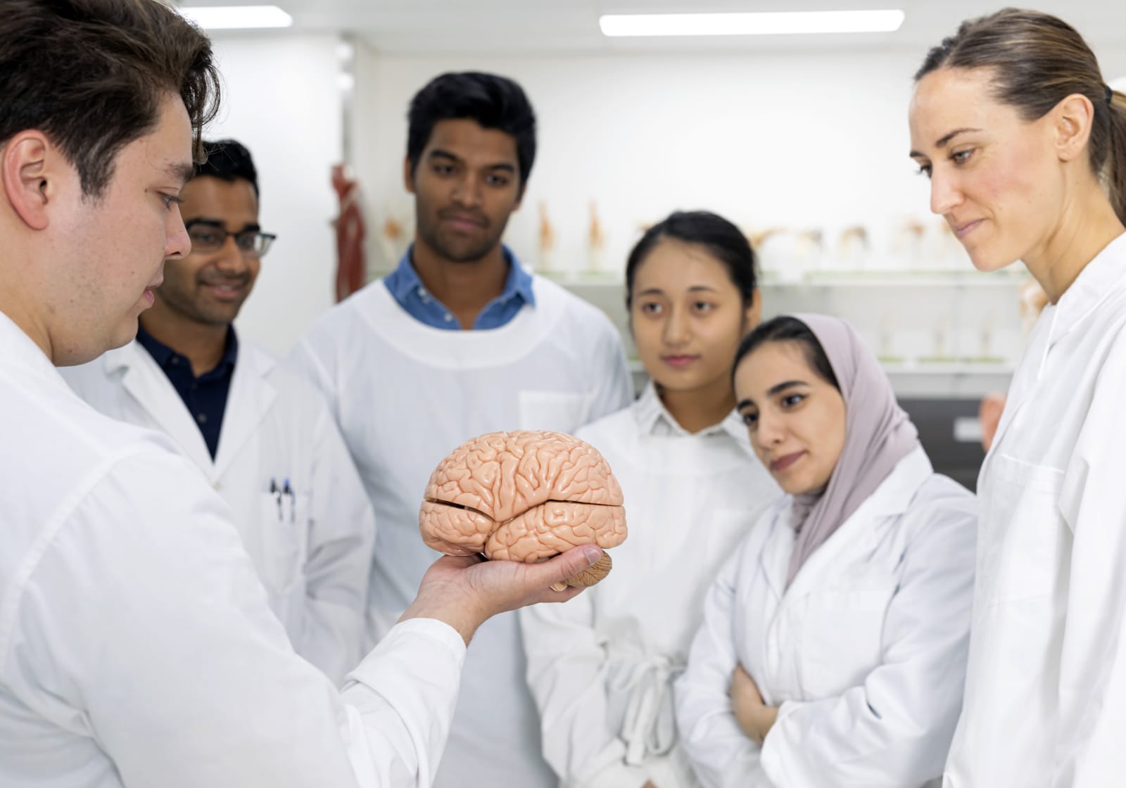 professor and group of students looking at a model of a brain