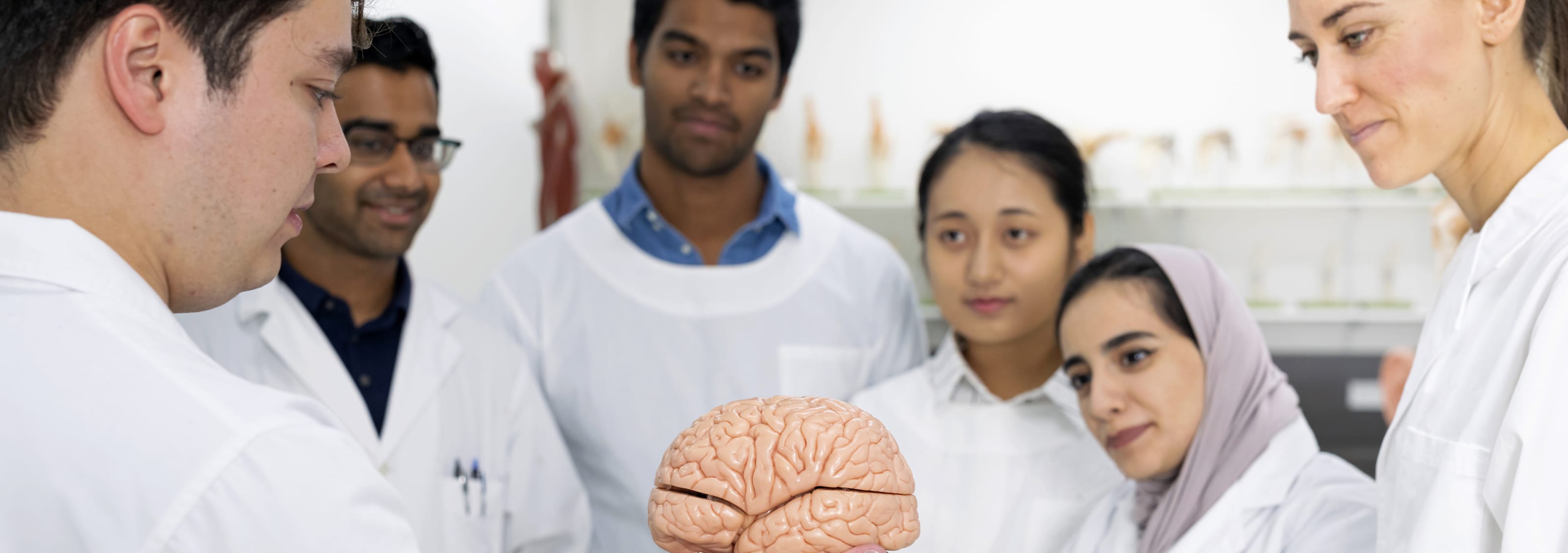 professor and group of students looking at a model of a brain