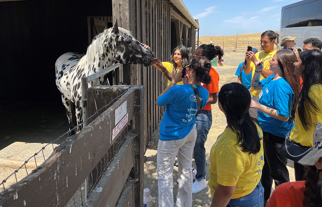 A photo shows students entering Touro University California for the 2024-2025 academic year as they stop to pet a horse during a Day of Service workday at Rush Ranch in the Suisun Marsh, Wednesday, July 24, 2024. (Courtesy photo)