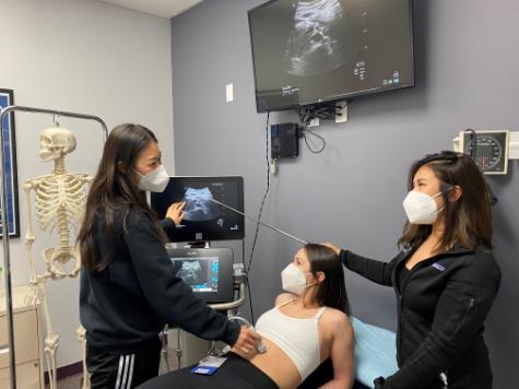 Students practice ultrasound techniques on one another.